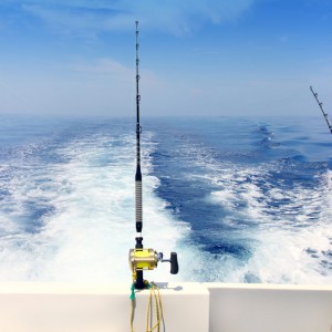 photo of Fishing Trips